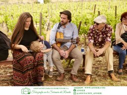 Festival Mar de Tethys 2026 - Bodega Vetas
